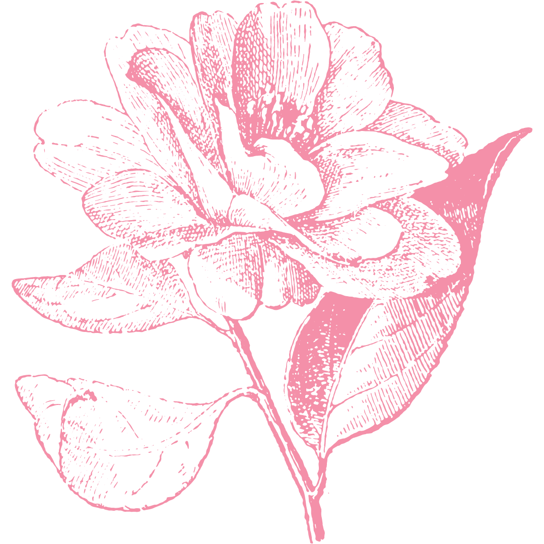 flowers-pink